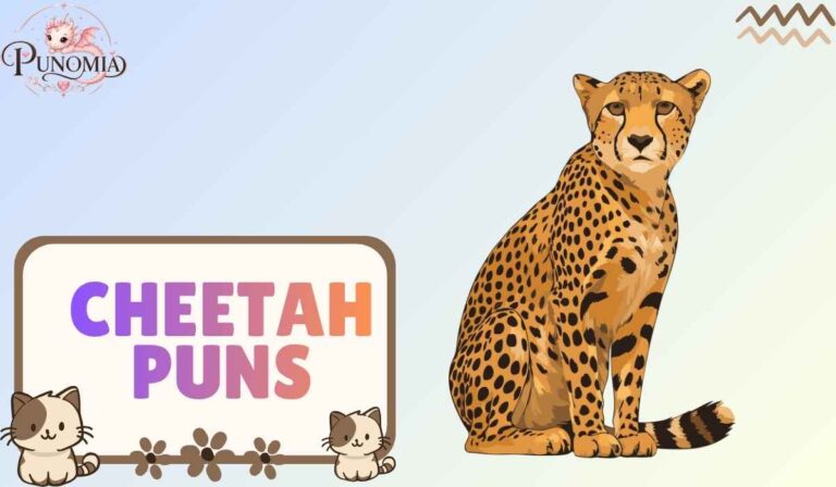 Cheetah Puns