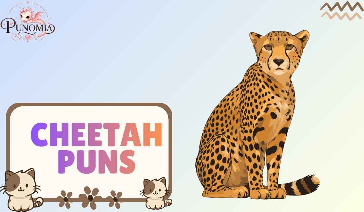 Cheetah Puns