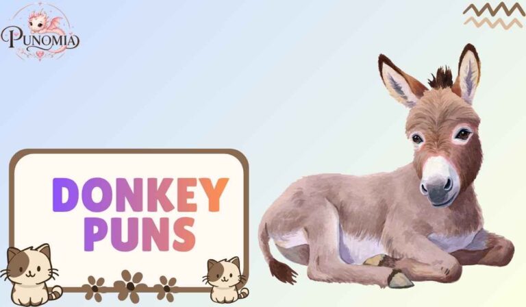 Donkey Puns