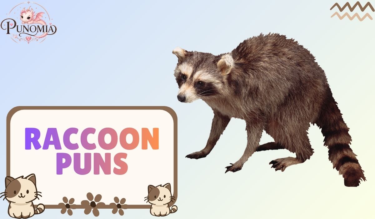 Raccoon Puns
