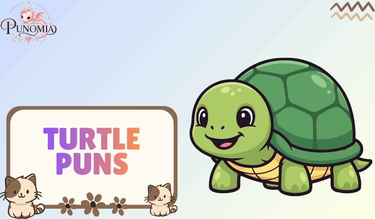 Turtle Puns